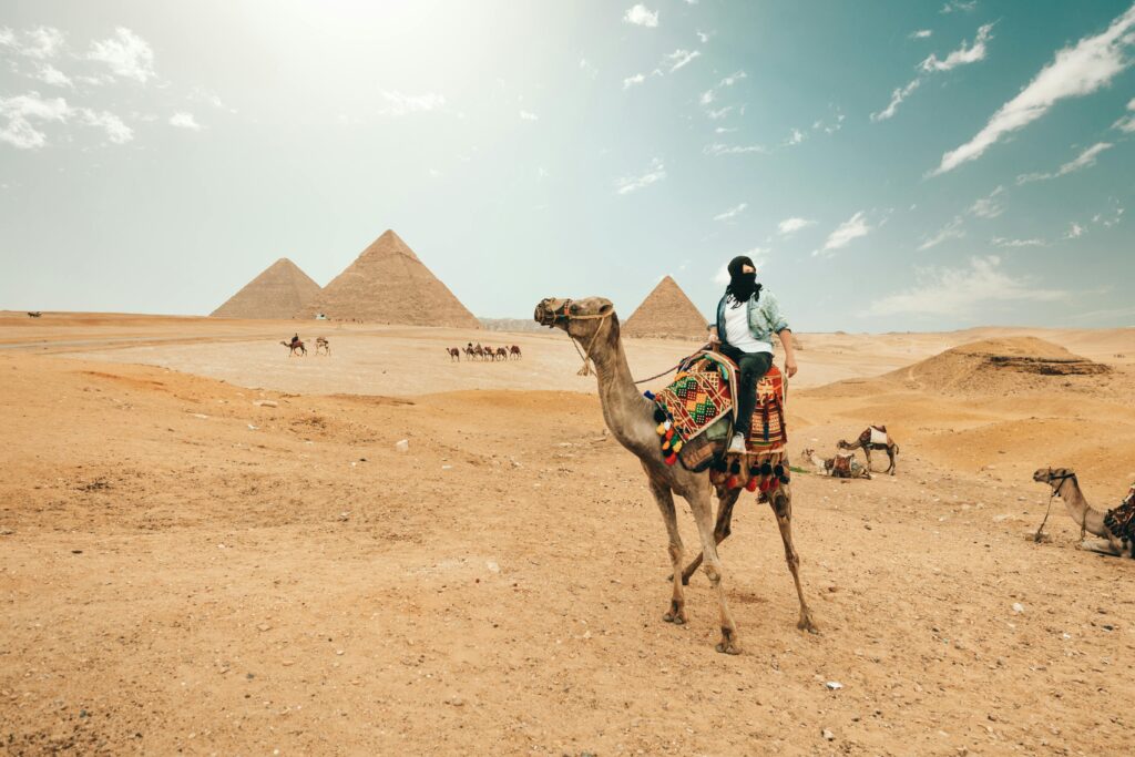 Desert Safari Adventure in the Arabian Sands